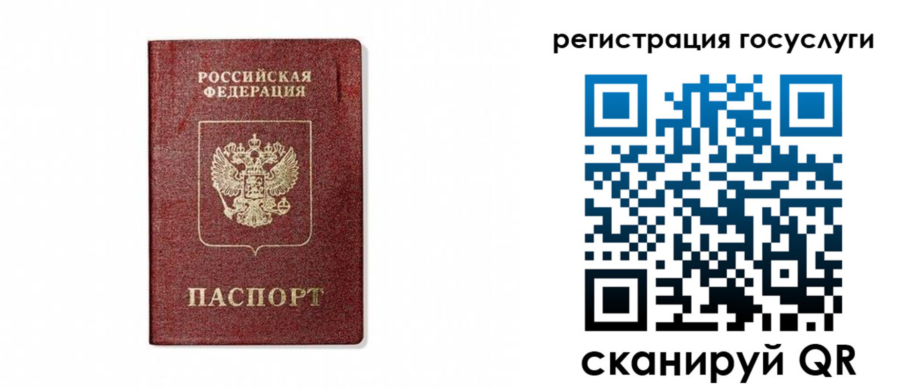 прописка паспорт в Щиграх